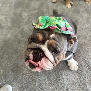 Meet your Posher, Elizabeth